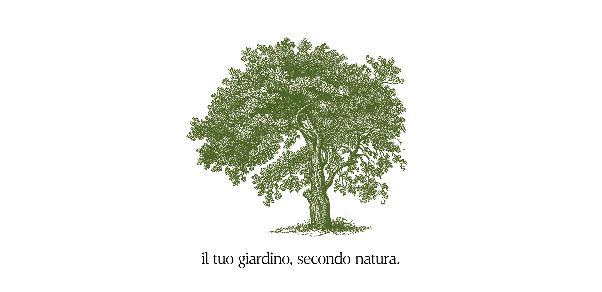 Disegno albero