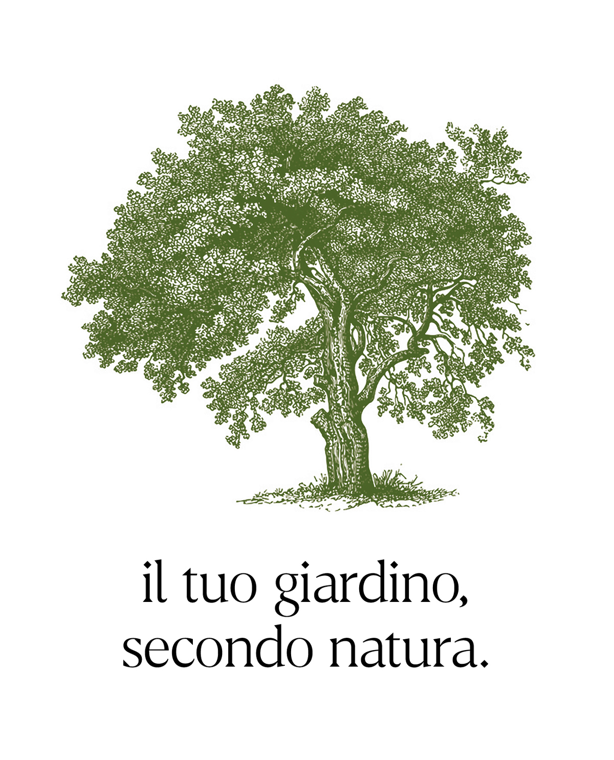 Disegno albero